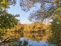 Цена на участок 20.2 соток , фотография 1