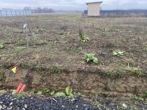 Купить участок 6.0 соток , фотография 8