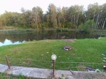 Купить дом на участке соток Московская область, Домодедово городской округ, д. Бехтеево, ул. Владимирская, 363 Покупка дом на участке соток , фотография 3