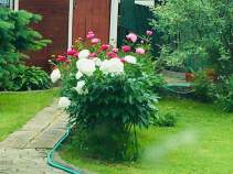 Купить дом на участке соток Московская область, Домодедово городской округ, Витязь-Одинцово СНТ, 8 Купить дом на участке соток , фотография 5