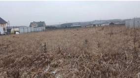 Фотография Участок в Московская область, Домодедово городской округ, с. Добрыниха ул. Ольховая (6.0 сот.), ул. Ольховая Куплю участок 6.0 соток , фотография обложки