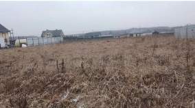 Продать участок 6.0 соток Московская область, Домодедово городской округ, с. Добрыниха, ул. Ольховая Продать участок 6.0 соток , фотография 2