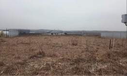 Купить участок 6.0 соток Московская область, Домодедово городской округ, с. Добрыниха, ул. Ольховая Покупка участок 6.0 соток , фотография 3