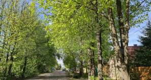 Продается участок 9.0 соток Московская область, Домодедово, Московская обл., Домодедово, мкр-н Белые Столбы, 2-я Московская ул. Куплю участок 9.0 соток , фотография 4