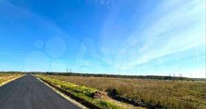 Продать участок 40.0 соток Московская область, Чехов, Московская обл., муниципальный округ Чехов, д. Чепелёво, Новая ул. Продать участок 40.0 соток , фотография 2