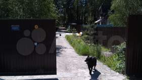 Продажа недвижимости Московская область, Чехов, Московская обл., г.о. Чехов, садоводческое некоммерческое товарищество Старый Спас Цена на участок 22.5 соток , фотография 1