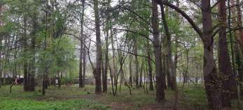 Продается участок 22.5 соток Московская область, Чехов, Московская обл., г.о. Чехов, садоводческое некоммерческое товарищество Старый Спас Куплю участок 22.5 соток , фотография 4