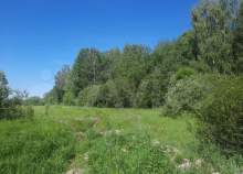 Купить участок 20.0 соток Московская область, Чехов, Московская обл., муниципальный округ Чехов, с. Дубна, Каргашиновская ул. Купить участок 20.0 соток , фотография 6