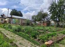 Продается дом на участке соток Московская область, Серпухов, Московская обл., г.о. Серпухов, д. Пущино, 2-я Пролетарская ул., 6 Куплю дом на участке соток , фотография 4