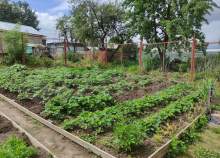 Купить дом на участке соток Московская область, Серпухов, Московская обл., г.о. Серпухов, д. Пущино, 2-я Пролетарская ул., 6 Купить дом на участке соток , фотография 6