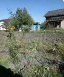 Куплю участок 6.0 соток , фотография 4