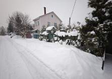 Покупка участок 12.0 соток , фотография 3