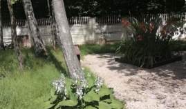 Цена на 1-комнатную квартиру , фотография 1