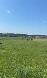 Купить участок 10.0 соток , фотография 5