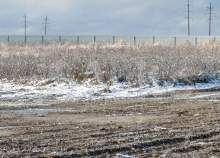 Куплю участок 6.6 соток , фотография 4