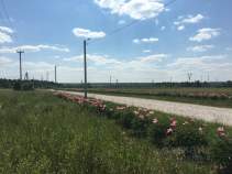 Продать участок 20.0 соток Московская область, Серпухов городской округ, Лисенки ДНТ, Продать участок 20.0 соток , фотография 2