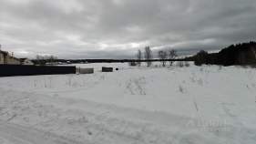 Куплю участок 11.0 соток , фотография 4