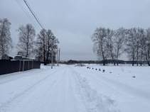 Продать участок 7.4 соток Московская область, Домодедово городской округ, д. Голубино, Новое Голубино кп, 161 Продать участок 7.4 соток , фотография 2