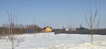 Продать участок 15.5 соток Московская область, Домодедово городской округ, д. Голубино, ул. Голубинская, 96 Продать участок 15.5 соток , фотография 2