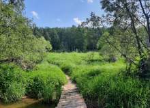 Цена на участок 7.0 соток , фотография 1