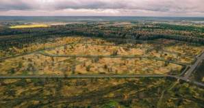 Продать участок 51.0 соток , фотография 2