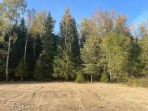 Покупка участок 12.0 соток , фотография 3