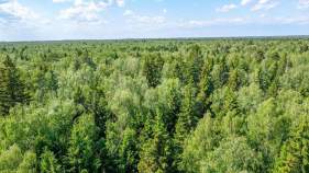 Купить участок 12.0 соток , фотография 5