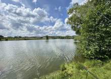 Куплю участок 8.0 соток , фотография 4