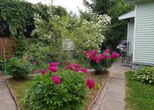 Цена на дом на участке  соток , фотография 1