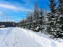 Куплю участок 8.0 соток , фотография обложки