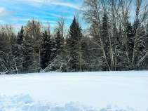 Купить участок 8.0 соток , фотография 5