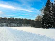 Купить участок 8.0 соток , фотография 6