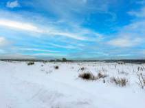 Куплю участок 6.2 соток , фотография 4