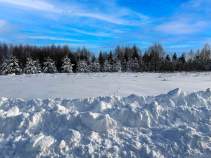 Куплю участок 6.9 соток , фотография 4