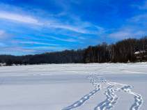 Купить участок 6.9 соток , фотография 9