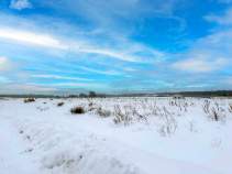 Куплю участок 7.6 соток , фотография 4