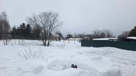 Купить участок 16.6 соток , фотография 8