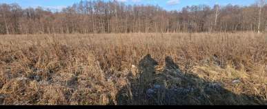 Цена на участок 6.0 соток , фотография 1