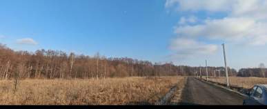 Покупка участок 6.0 соток , фотография 3