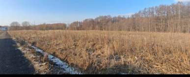 Купить участок 6.0 соток , фотография 6