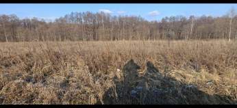 Куплю участок 6.0 соток , фотография обложки