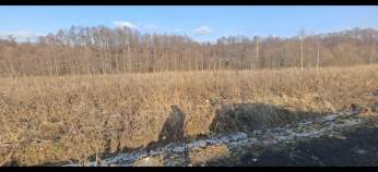 Купить участок 6.0 соток , фотография 5