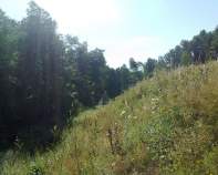 Куплю участок 12.5 соток , фотография обложки