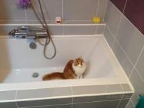 Купить 2-комнатную квартиру , фотография 6