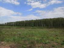 Купить участок 6.0 соток , фотография 6