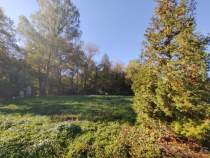 Продать участок 25.0 соток , фотография 2