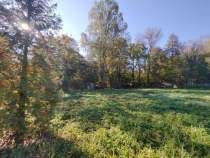 Покупка участок 25.0 соток , фотография 3