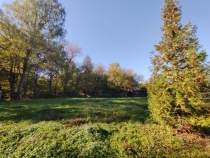 Куплю участок 25.0 соток , фотография 4