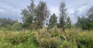 Куплю участок 7.0 соток , фотография обложки