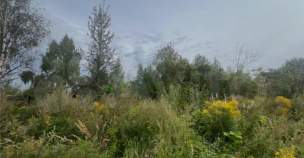 Цена на участок 7.0 соток , фотография 1